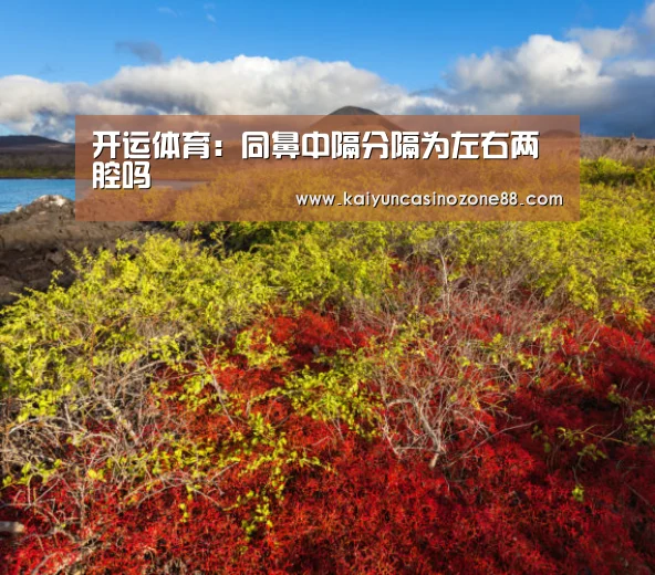 开运赛事